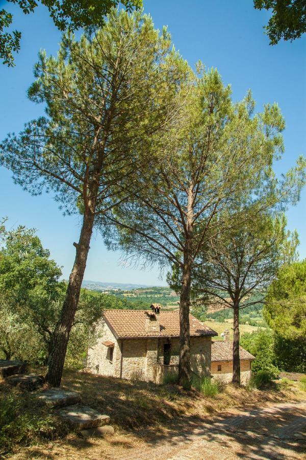 Agriturismo Bio Tra Cielo E Terra Apartment Grutti Ngoại thất bức ảnh