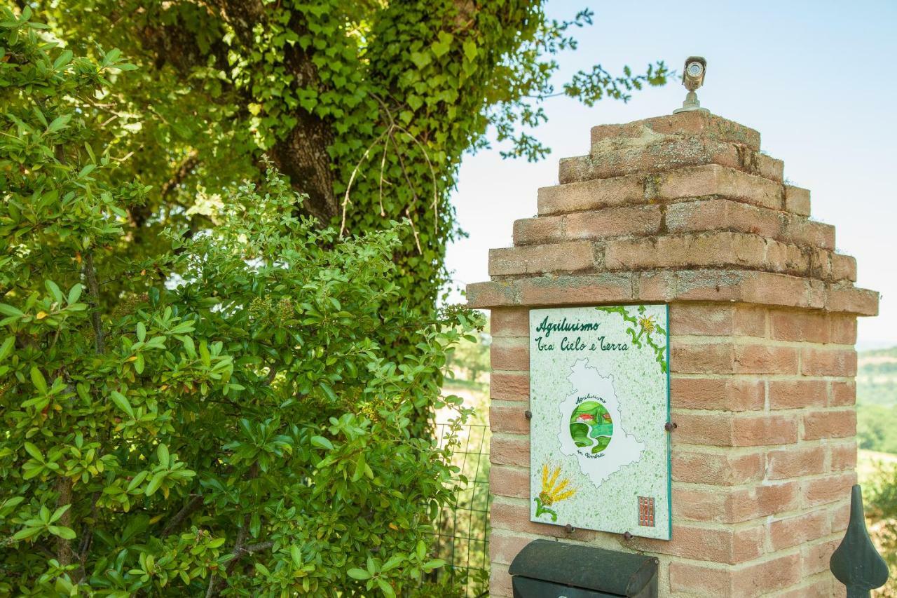 Agriturismo Bio Tra Cielo E Terra Apartment Grutti Ngoại thất bức ảnh